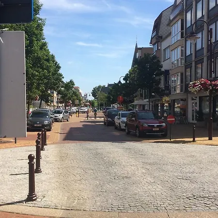 Lägenhet Comfortable In The Town Centre Within Walking Distance Of The Ocean Wenduine