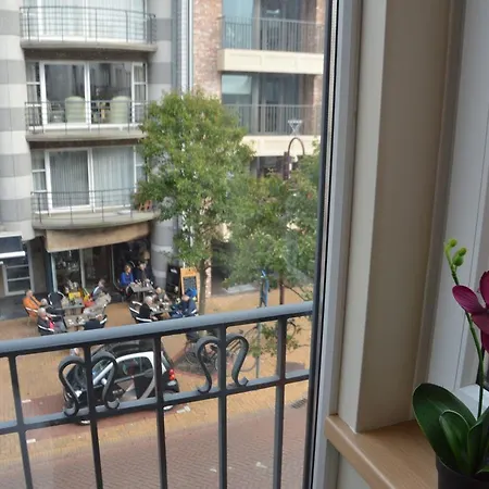Comfortable In The Town Centre Within Walking Distance Of The Ocean *